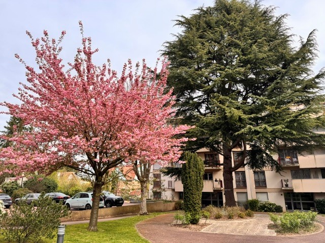 Appartement 5 Pièce(s) Montgeron